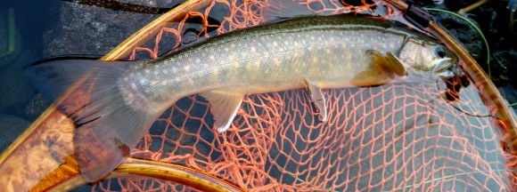 f0266202_20103498.jpg