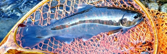f0266202_20111564.jpg