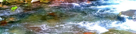 f0266202_20115086.jpg