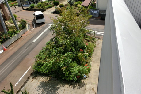 a0203003_1961744.jpg