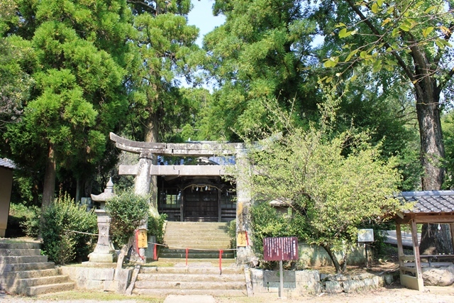 c0368903_08235797.jpg