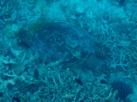 e0338303_11372272.jpg