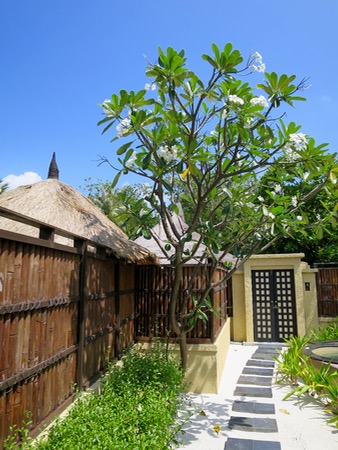 e0338303_14355261.jpg