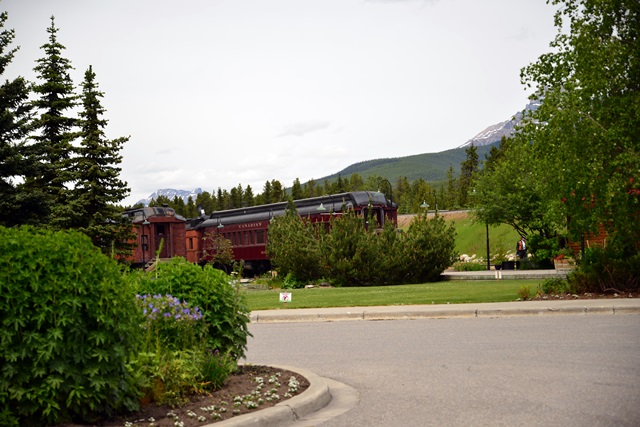 f0373905_1359175.jpg