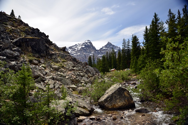 f0373905_1434508.jpg