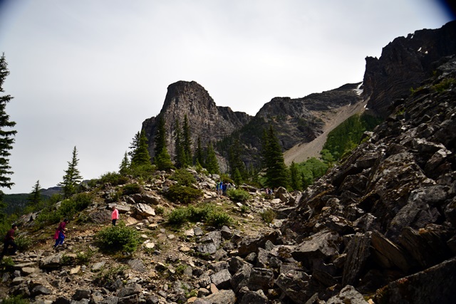 f0373905_14364930.jpg