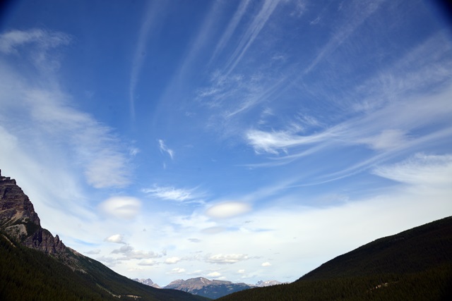 f0373905_14541671.jpg