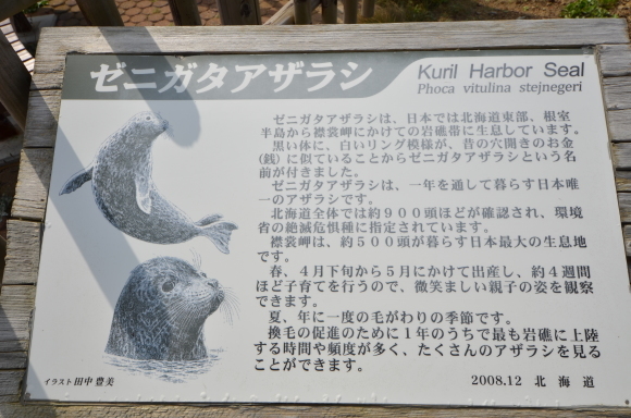c0336907_19440711.jpg
