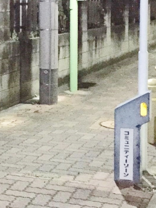 猫アレルギーじゃなかったのかも_f0180307_21554942.jpg
