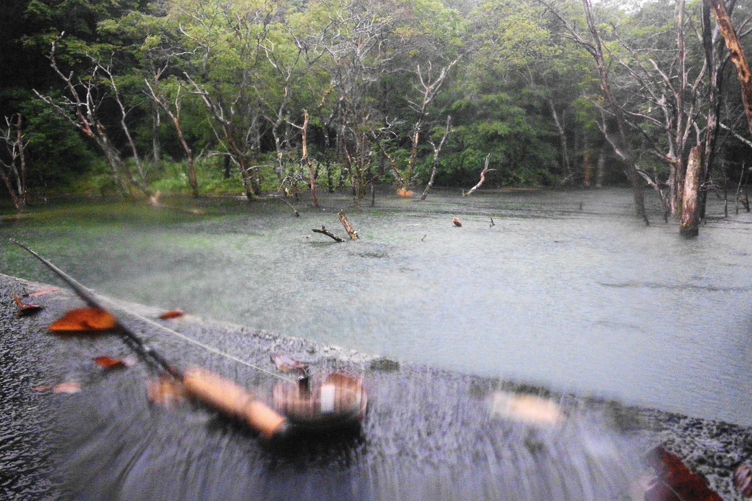 e0123808_121327.jpg
