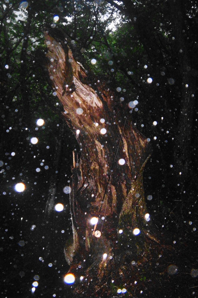 e0123808_124260.jpg