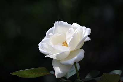 f0325309_17130814.jpg