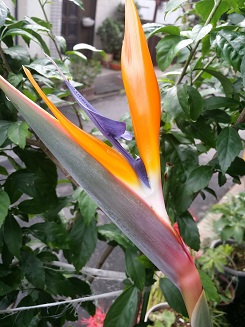 c0169414_20113031.jpg