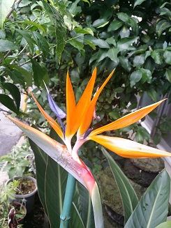 c0169414_20114955.jpg