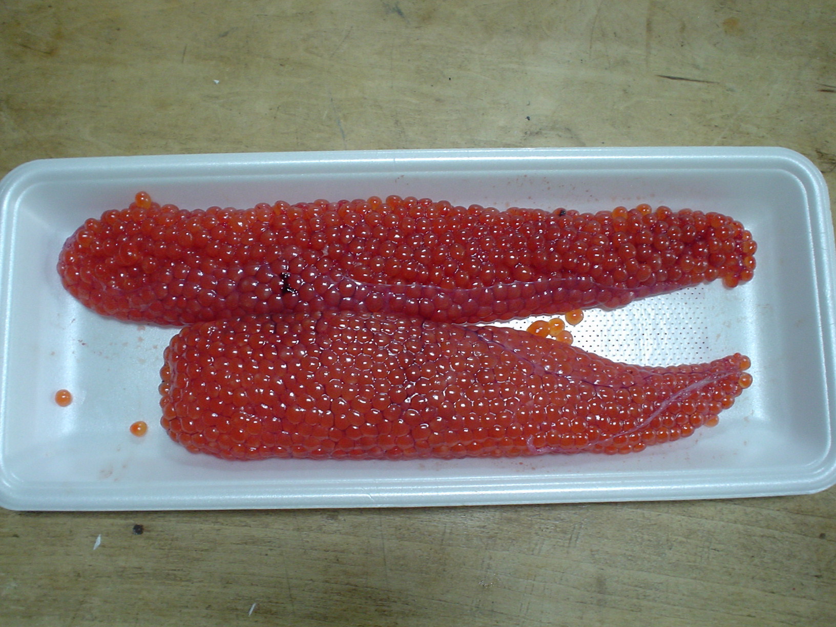 d0070814_15244912.jpg