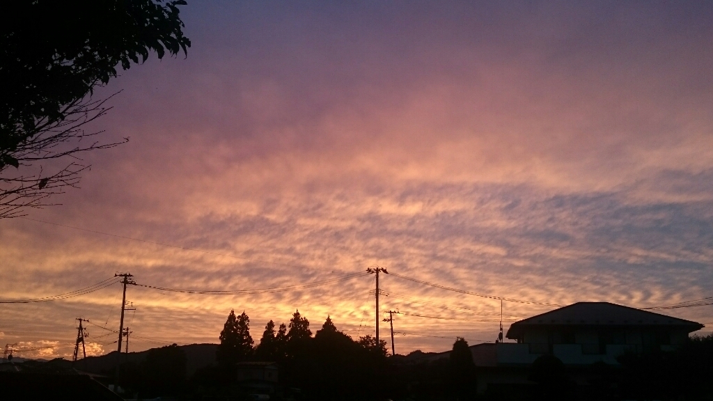 f0260414_11071795.jpg