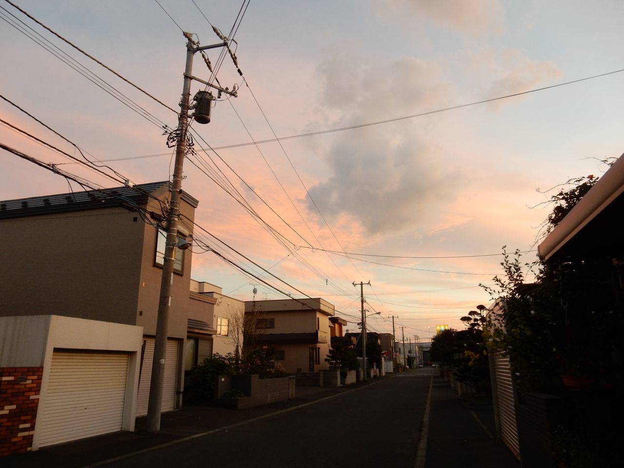 夏の揺り戻し_c0025115_19402125.jpg