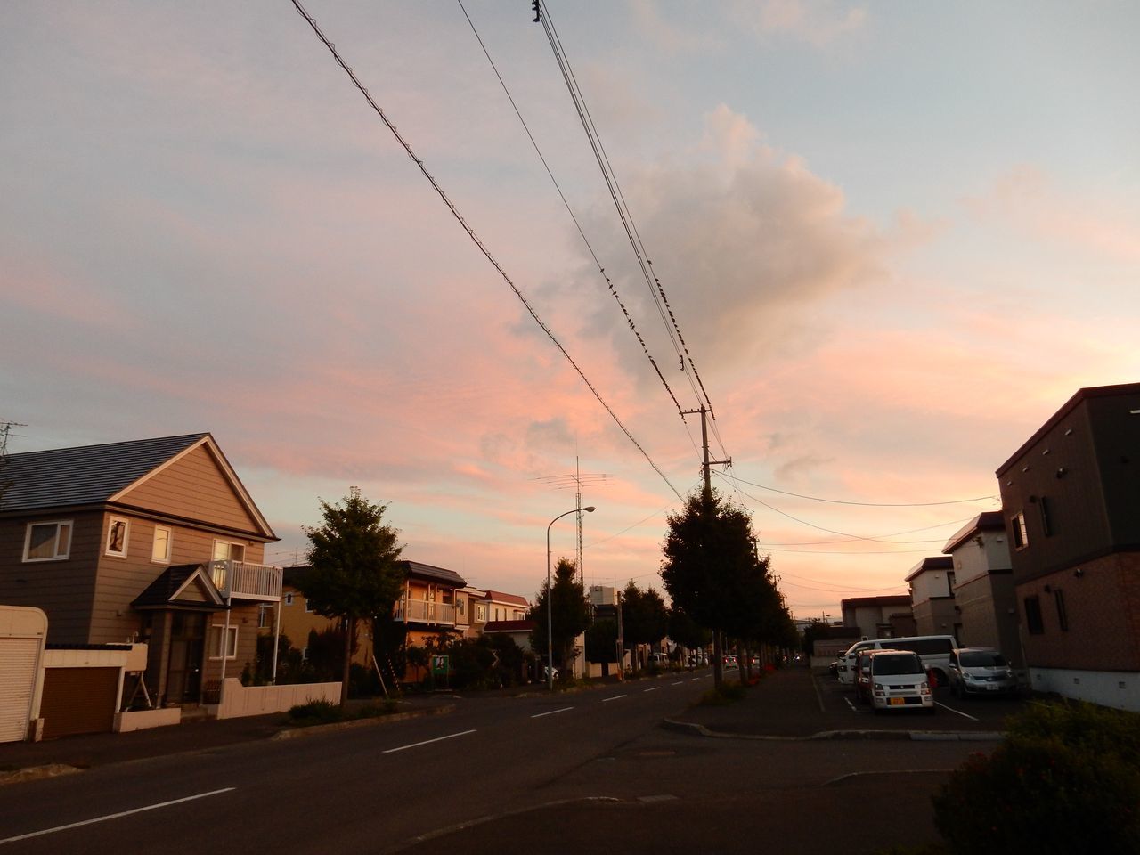 夏の揺り戻し_c0025115_19402464.jpg