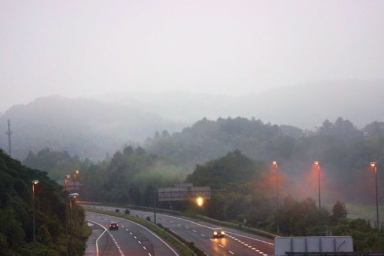 雨上がりの朝_e0119218_07283228.jpg