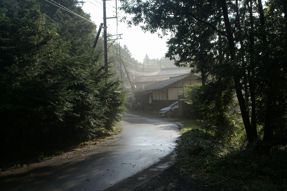 d0184619_87785.jpg