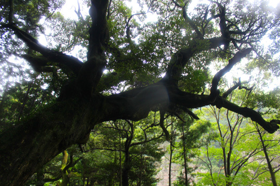 パワースポット巨岩☆田染の里、三の宮の景_a0329820_16080367.jpg