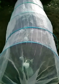 f0354923_21415400.jpg