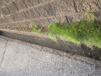 d0065324_0143349.gif