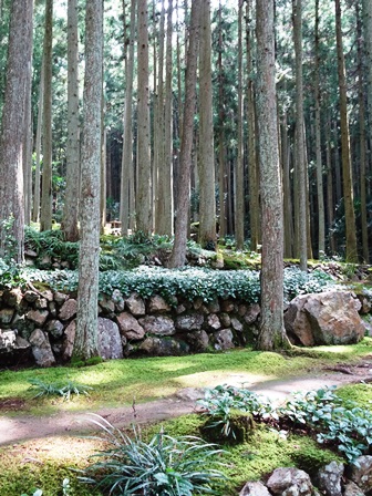 f0213825_9333243.jpg