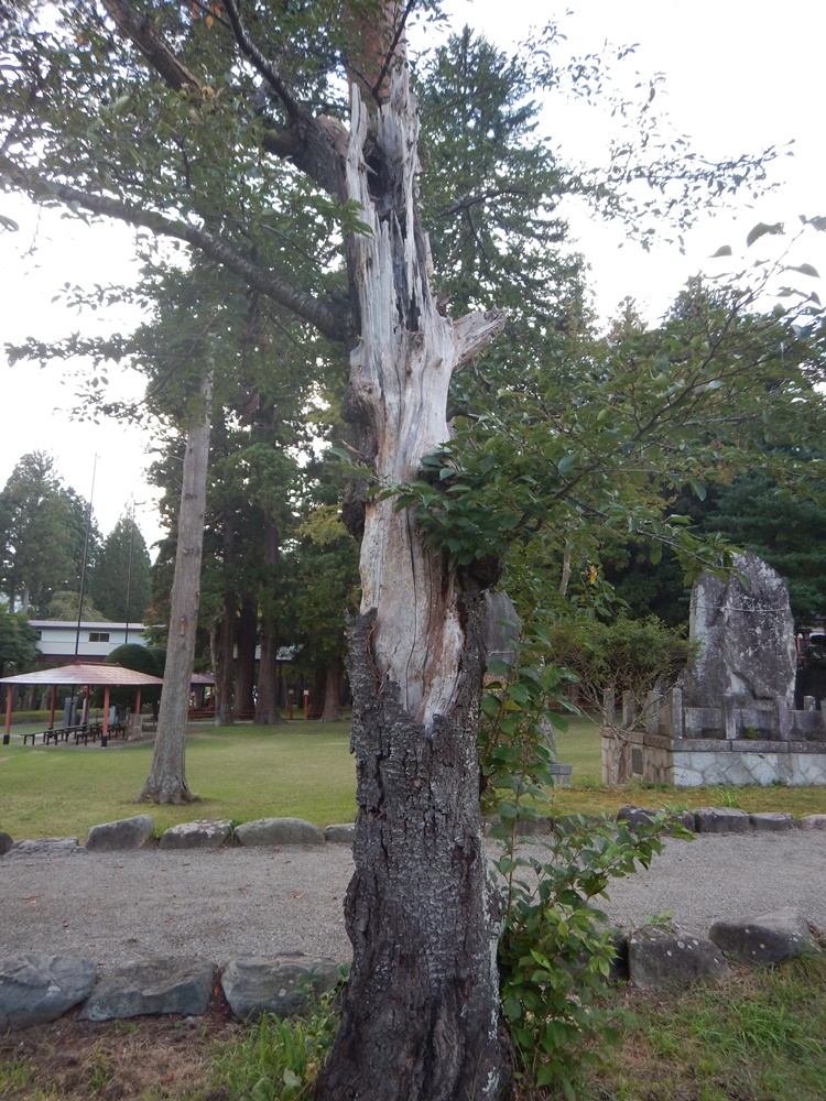 砥森神社例祭に_c0111229_18525499.jpg