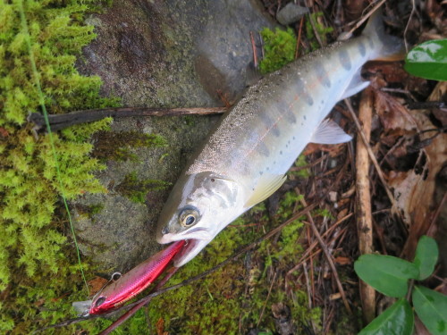 e0198329_10520225.jpg