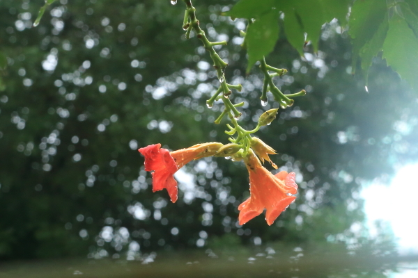 f0229832_09590641.jpg