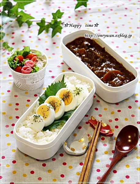 カレーライス弁当と常備菜作り♪_f0348032_17424002.jpg