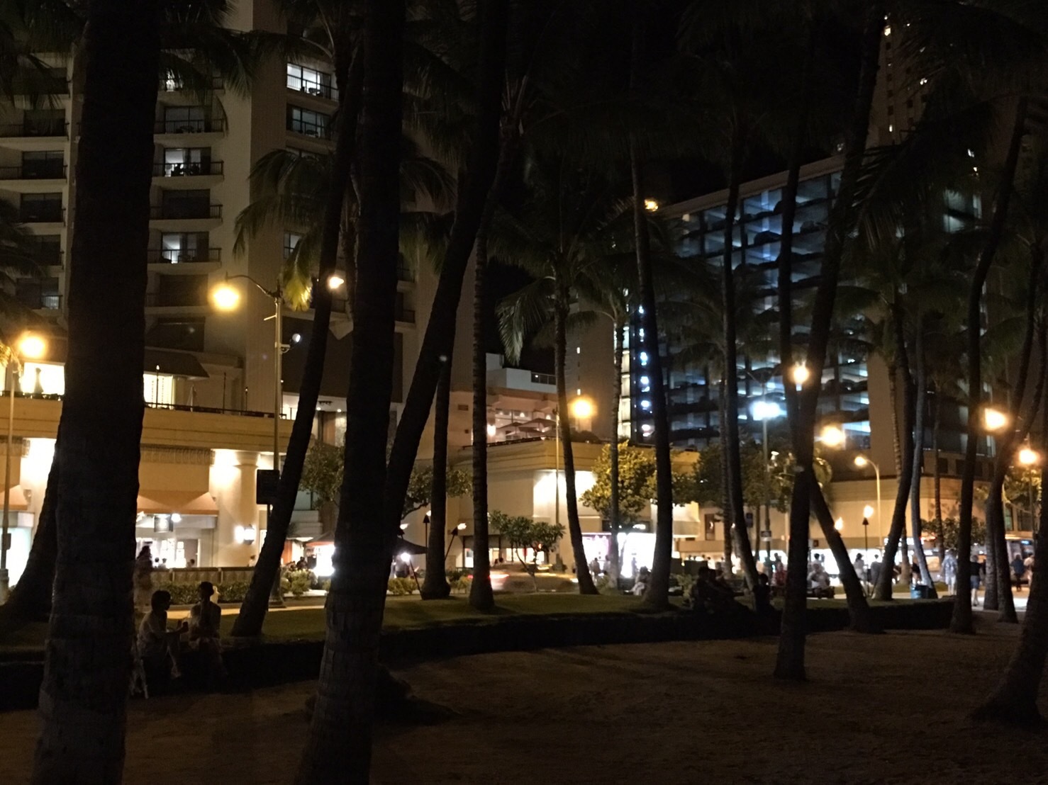 d0174135_19441858.jpeg