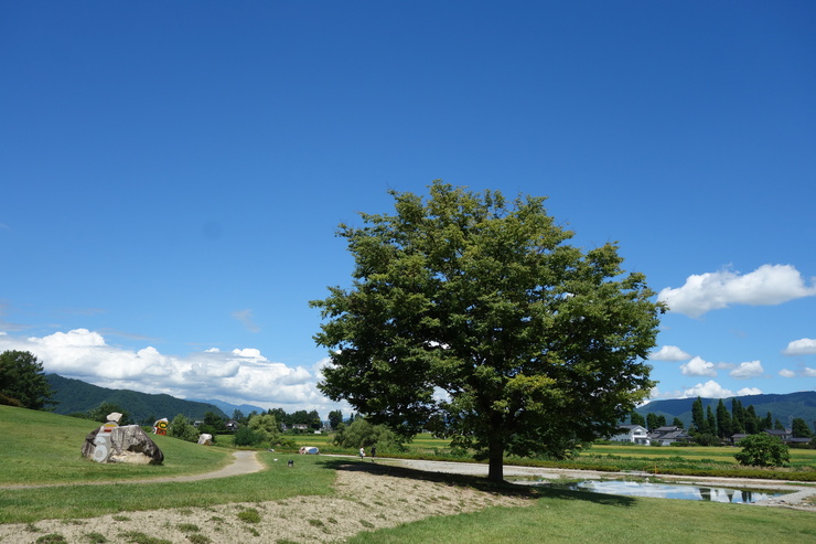 a0287336_1231537.jpg