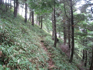 c0077338_22032124.jpg