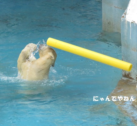 f0002743_12451.jpg