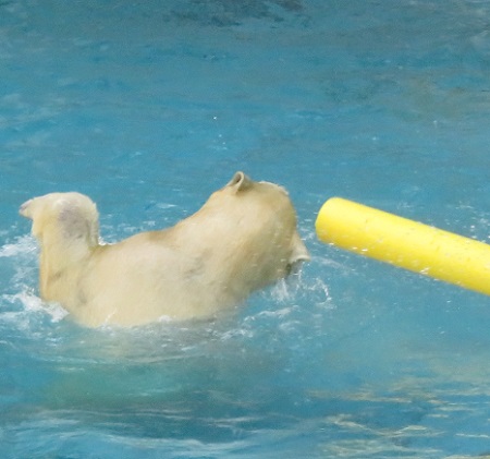 f0002743_13440.jpg