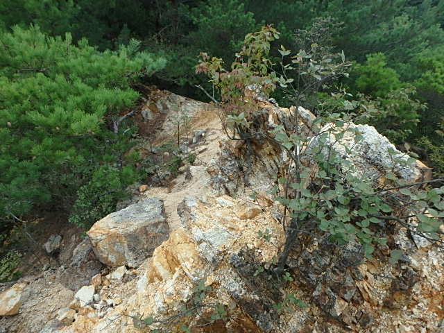 f0334143_19553212.jpg