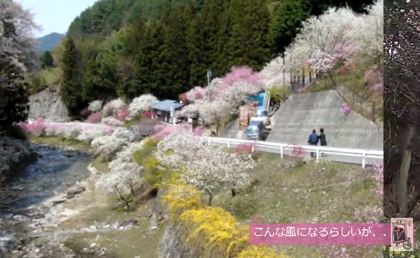 b0003445_1025348.png