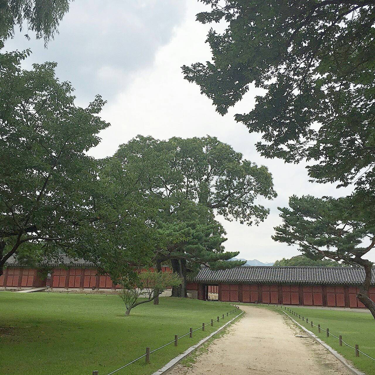 d0160145_14385076.jpg