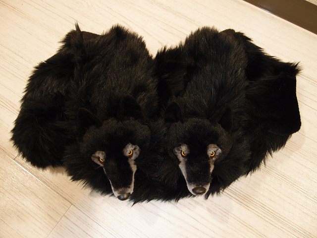 c0191646_8335783.jpg