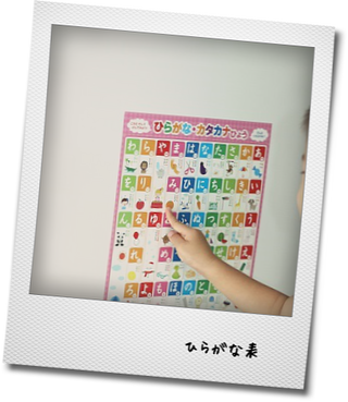 セリアの診療ケースと巾着型バッグ_e0214646_14145055.png