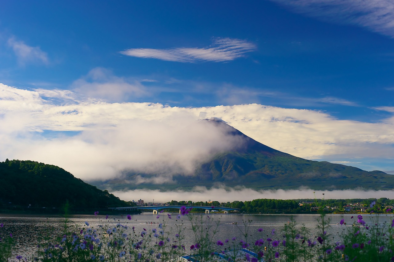 初雪・富士山_e0163149_12461698.jpg