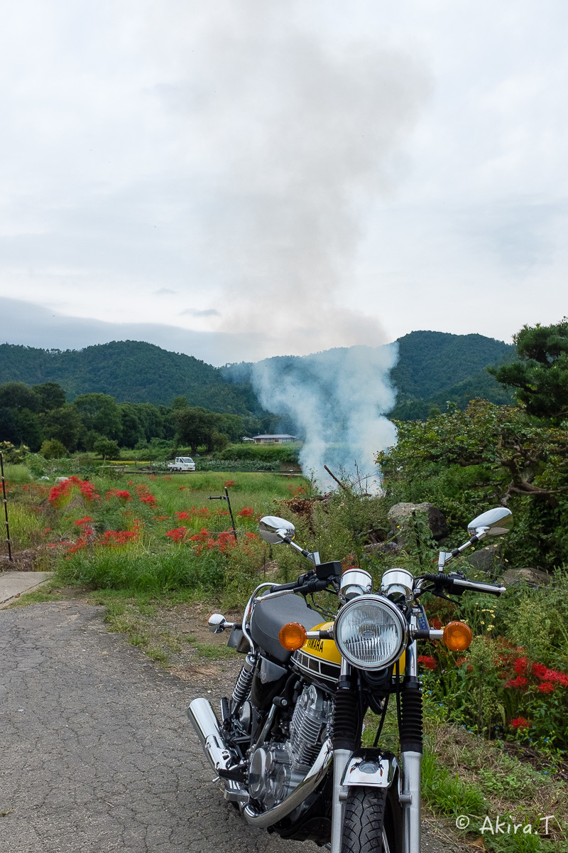 京都 嵯峨野の彼岸花 with YAMAHA SR400_f0152550_18214548.jpg