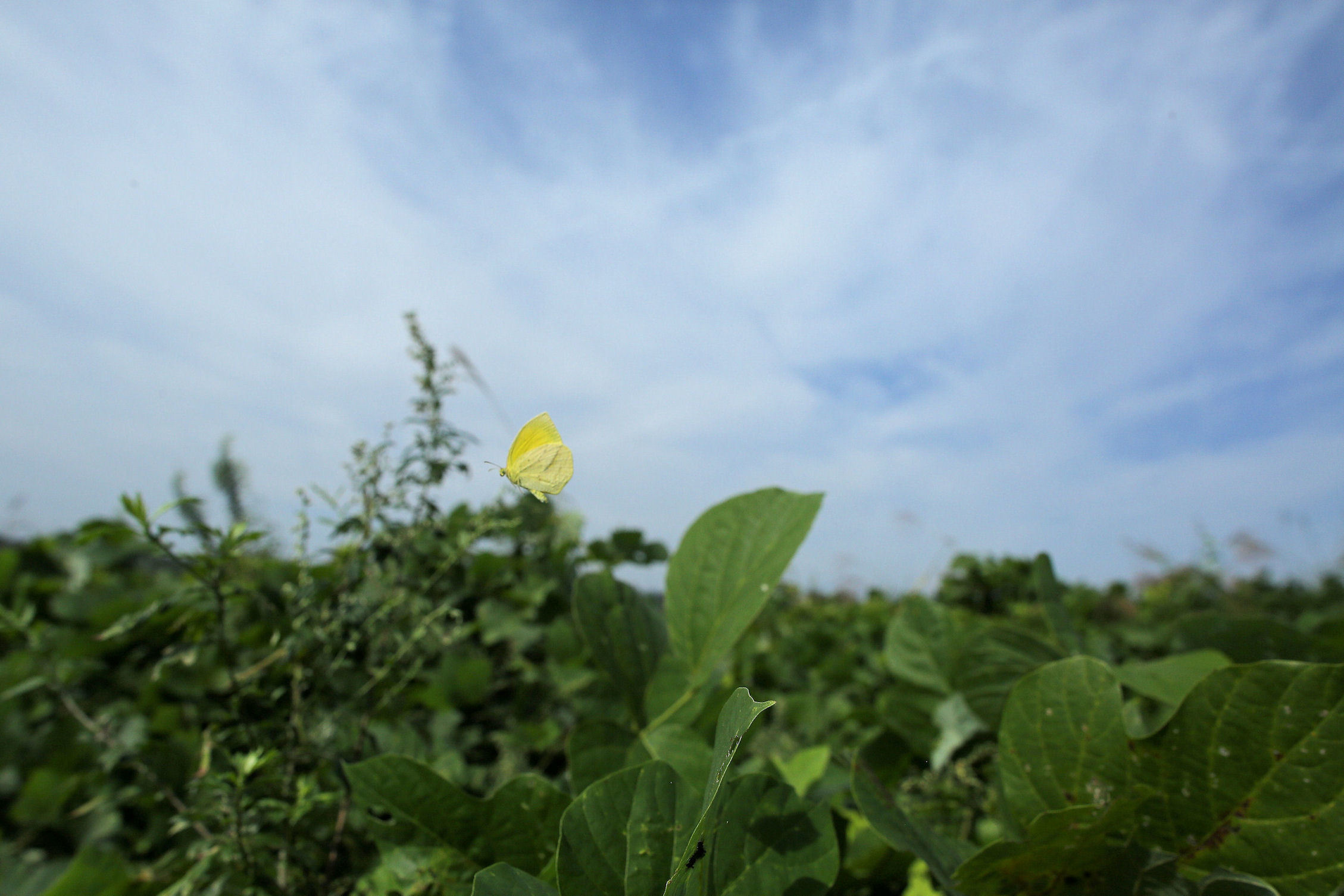f0345350_23150526.jpg