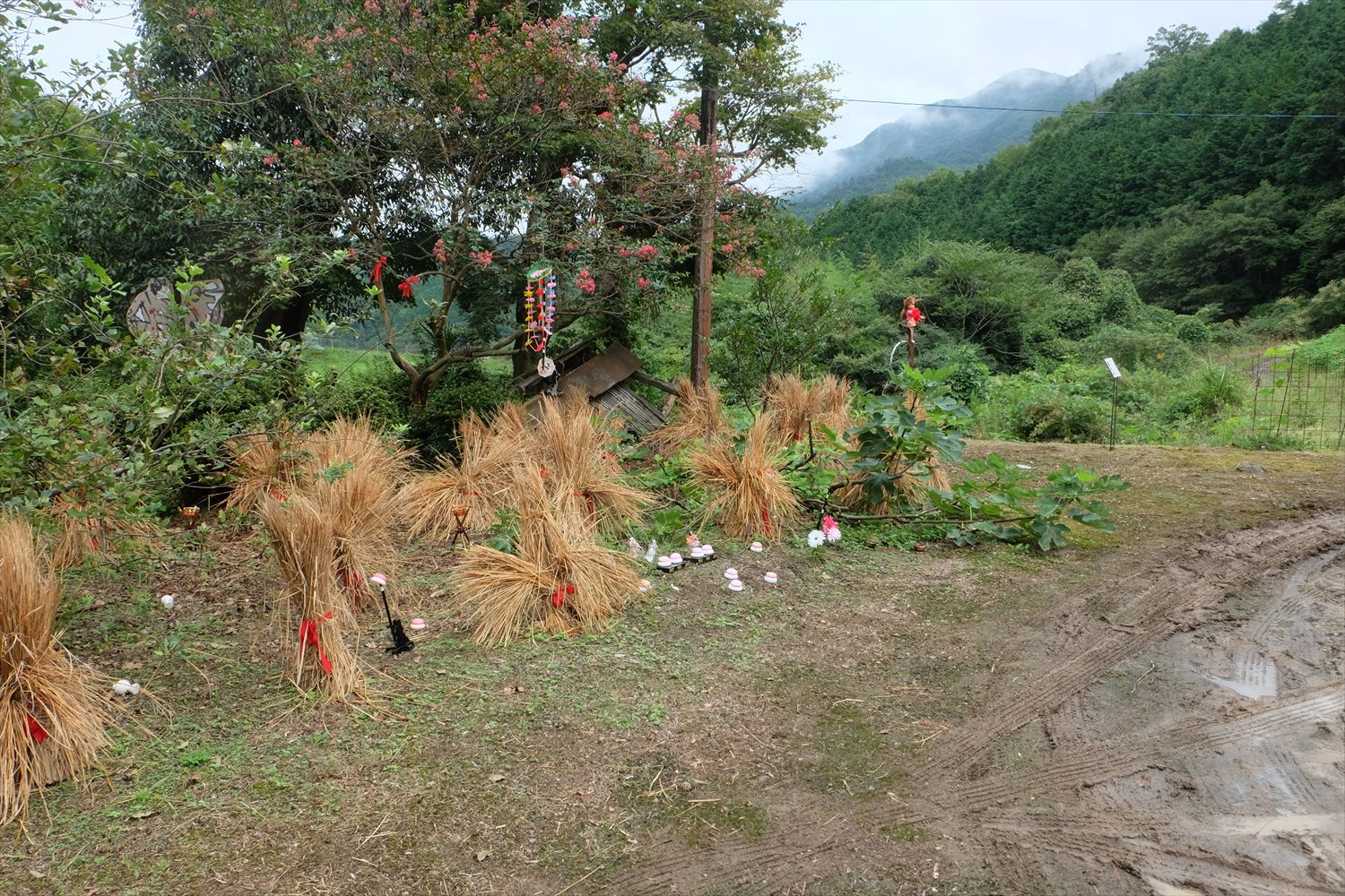 山なみ芸祭・琴南　応援？やってます。_d0003756_10354060.jpg