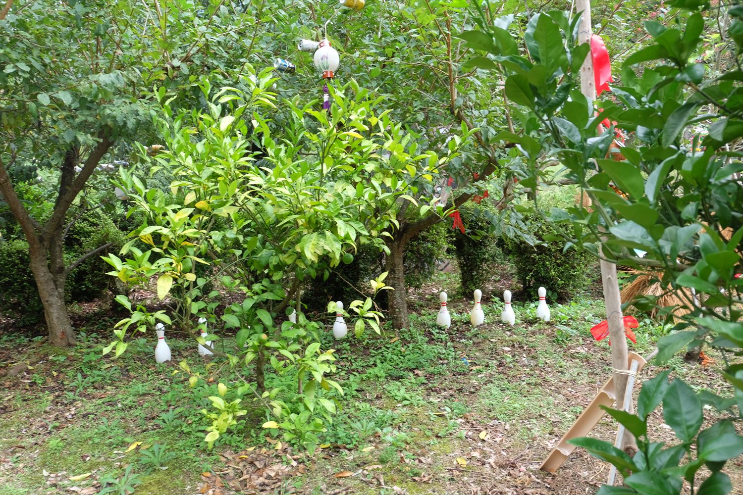 山なみ芸祭・琴南　応援？やってます。_d0003756_10354783.jpg