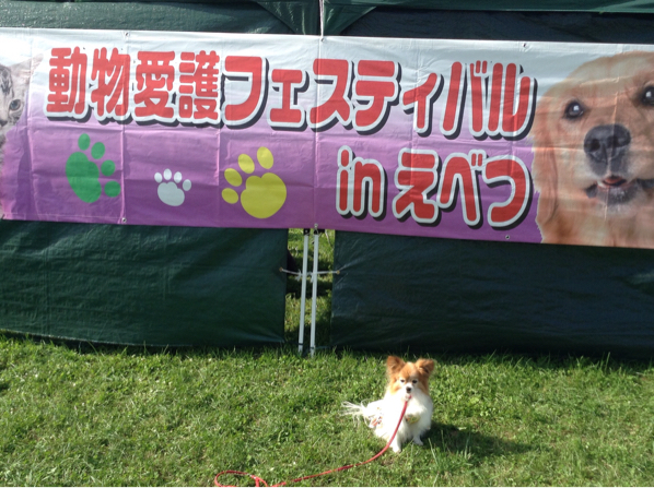 動物愛護フェスティバル ２０１６_b0122262_20210043.jpg