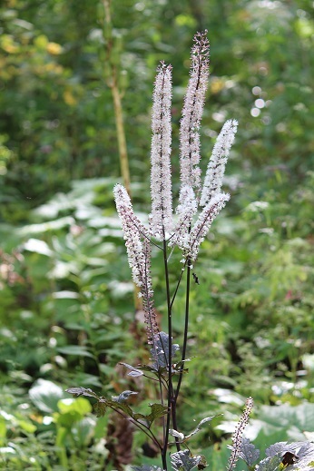 f0362073_06440887.jpg