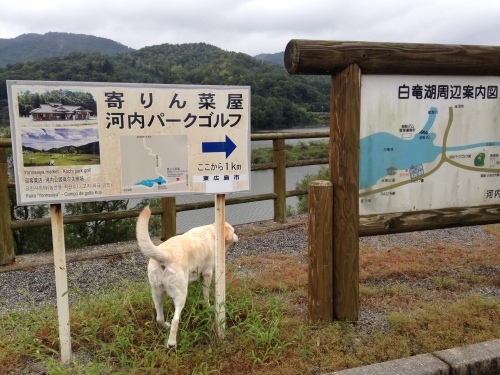 f0315081_20591642.jpeg